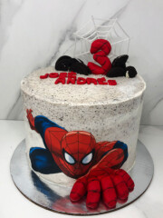 Spiderman edible print | Topperie